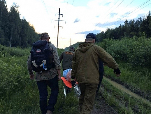 В августе в Ивановской области искали 149 заблудившихся грибников